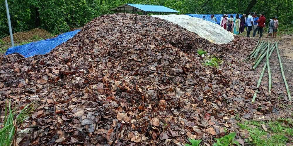 फत्तेपुरमा हरियोपात कुहाएर प्राङ्गारिक मल उत्पादन गरिँदै